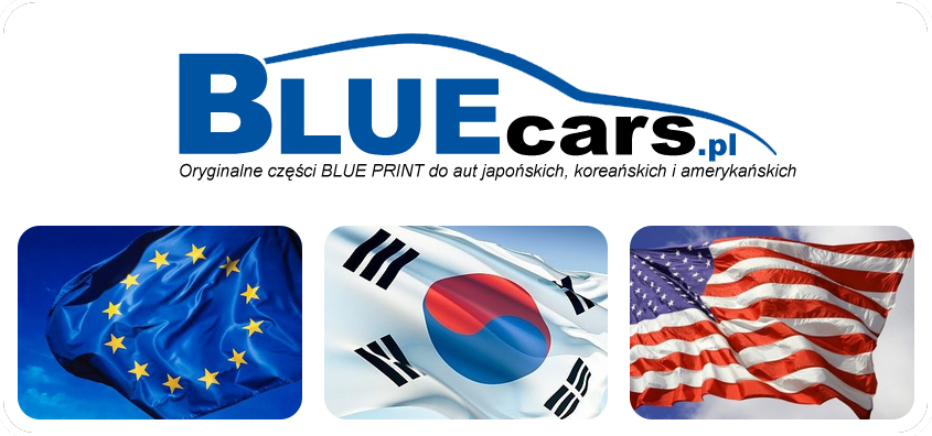 Oryginalne części Blue Print do aut japońskich, koreańskich i amerykańskich w Płocku.